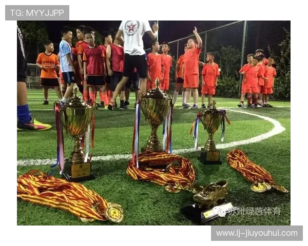 绿茵英雄系列足球玩偶全新收藏指南与球迷珍藏故事展示盛典全景赏